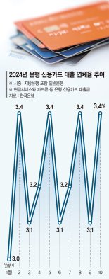 돈줄 마른 서민경제…카드빚도 못 갚는다 [짙어진 경기침체 그림자]