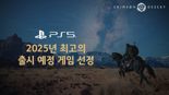 펄어비스 붉은사막, 플스 스토어 '최고의 출시 예정 게임'