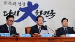 [영상] 민주당 "서부지법 폭동은 與,극우 유튜버들 책임"