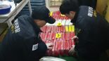 부산 신항으로 3500억 상당 코카인 밀반입 시도 국제마약단 6명 검거