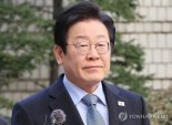 이재명, 오늘 선거법 2심 두 번째 재판...증인채택·위헌법률심판 '충돌' 예상