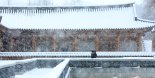 강설한파로 여객선-항공기 대거 결항