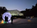 국가유산청, 창경궁 대보름 보름달 관측 행사
