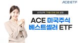 잘 팔리는 美종목 추려 담았더니···ETF도 '베스트셀러' 됐다