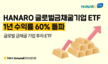 NH아문디운용, 글로벌금채굴기업 ETF 1년 수익률 60%