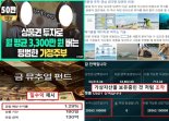 '월 3300만원 버는 주부?' 금감원, 투자자 현혹하는 유사수신업체 35곳 수사의뢰