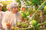 스마트팜 방문한 송미령 농식품부 장관 "스마트농업, 청년영농·미래경쟁력 핵심"