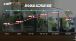 열정페이 강요·상사 괴롭힘에 퇴사, 6개월째 백수 "저는 낙오자인가요?" [혼자인家]