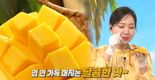 "망고를 국민 과일로"…신세계라이브쇼핑, 태국 망고 판매 시작
