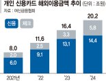 '트래블카드 날개' 해외 카드결제 20조 돌파