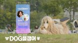 나와 닮은 유기견 매칭 서비스…제일기획, '독플갱어' 캠페인