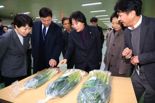 아워홈, 이달부터 노지 스마트팜 재배 '대파' 첫 공급