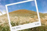 제주신화월드 "들불축제도 보고, 호캉스도 즐기고"