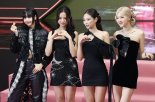 [단독] 국세청, 6년 만에 와이지엔터 정기 세무조사