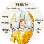 축구선수 단골 부상 '전방 십자인대 파열'… 재건술로 복귀 돕는다 [Weekend 헬스]
