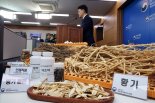 농진청 "국산 참당귀·황기 복합물, 전립선 건강 원료로 인정"