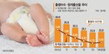 출산율 내년까지는 상승 기대… 정책지원 없인 ‘반짝 효과’ [9년만에 커진 아기울음]