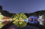 '창경궁 물빛연화', 빛의 향연..연말까지 상시 상영