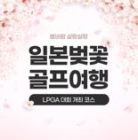 벚꽃 만개 3월의 일본 라운딩은 특별하다... 사츠마 리조트, 가고시마 벚꽃 시즌 관심 폭발
