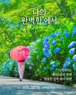 "3년 만에 열리는 세토우치 국제예술제 보자"... 에어서울, 특가 프로모션