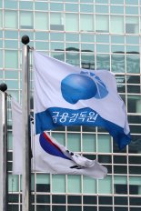 금감원, 2금융권에 부실자산 신속 정리 및 충당금 적립 당부
