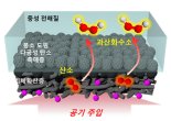 공기 중 산소로 과산화수소 만든다