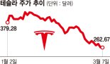 테슬라 주가 '반토막'… 서학개미 '눈물의 물타기'