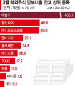 떨고있는 테슬라 '빚투' 개미… 담보대출 1년새 2배 증가