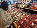 "제철 토마토·딸기 사세요"  이마트, 봄 먹거리 할인판매