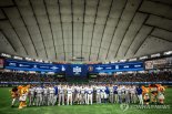 日 MLB 개막전 암표가 장당 2천만원? 3억원 부당 이익 암표상 검거