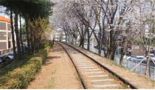 인천시, 부평역∼부개역 사이 군용철도 주변 환경 정비 실시