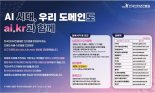 새 도메인 'ai.kr' 3002건 등록