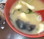쥐 이어 바퀴벌레까지…日 3대 덮밥 체인, '전 매장 일시 휴업'