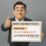 해외에서 국내로 배당ETF '머니무브'…PLUS고배당주, 순자산총액 6000억원 돌파