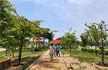 인천시, 맨발 산책로 조성 및 관리 매뉴얼 제작·배포