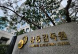 개인채무자보호법 계도기간 종료…금감원, 대부업권 특별 현장점검