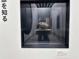 "화성에서 온 돌·인간 세탁기도 꼭 보고 가세요"[막 오른 오사카·간사이 엑스포]