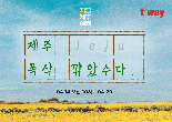 "제주, 폭삭 깎았수다"... 티웨이항공 20일까지 프로모션