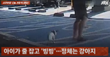 "집에선 오죽할까" 강아지 목줄 잡고 빙빙 돌린 10대에 누리꾼 분노 [영상]