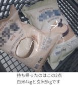 “日서도 팔아주면 안 되나요” 한국 쌀 탐내는 일본인들, 이유는