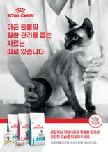 로얄캐닌, 올바른 처방사료 급여 문화를 위한 ‘처방사료 캠페인' 진행