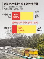 영남 산불에 꿀벌 떼죽음… 꿀값 더 뛴다