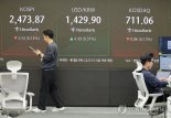 반도체주 낙폭 확대...코스피·코스닥 약세 지속 [fn오후시황]
