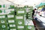 "청정 봄나물 구경오세요"...5월 황금연휴 강원도내 축제 풍성