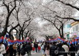 ‘순대 6개 2만 5000원’ 논란 그 축제… 이번엔 '집단 식중독'까지