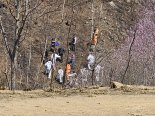 포항시, 산불 예방 행위제한 행정명령 해제... 화기소지는 여전히 금지
