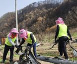 NH농협은행 준법감시부문, 산불피해 복구 자원봉사