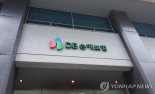 SK證 "DB손해보험, 미주지역 대형재해에 실적 부진 전망...목표가↓"