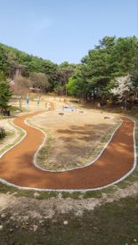 홍천 무궁화테마파크 '황톳길' 걷기 명소 부상