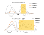 미니 사춘기를 아시나요? 생후 첫 몇 개월의 중요한 호르몬 변화 [안철우 교수의 호르몬 백과사전]